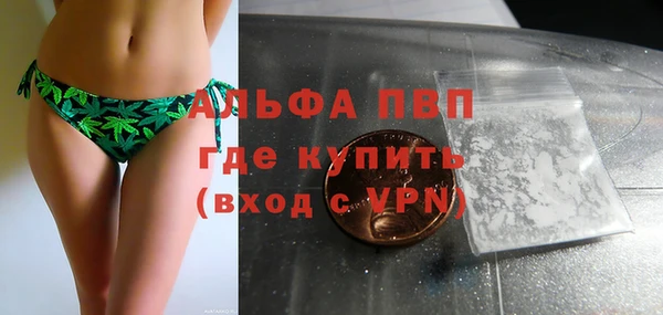 хмурый Сясьстрой
