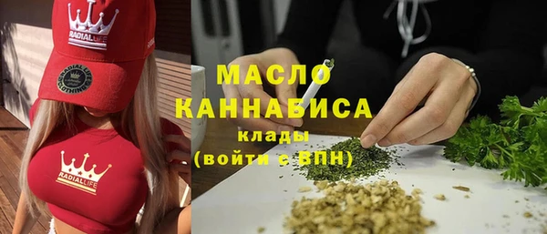мдпв Горняк