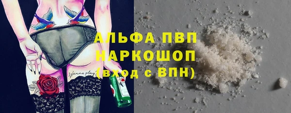spice Вяземский