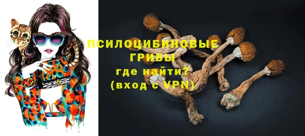 spice Вяземский