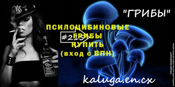 гидра Тавда