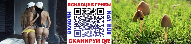 маркетплейс состав  как найти закладки  Таганрог  Галлюциногенные грибы мицелий 